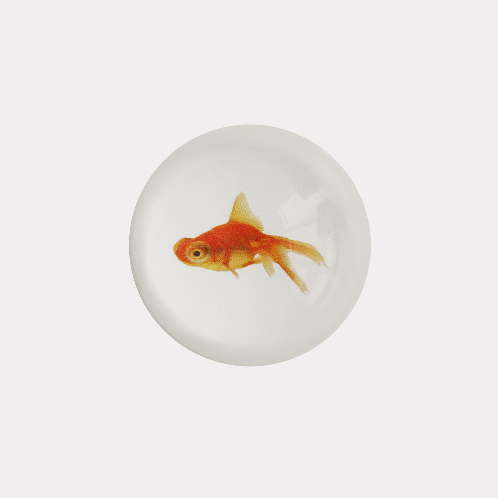 gold fish 디자인 [레진톡]