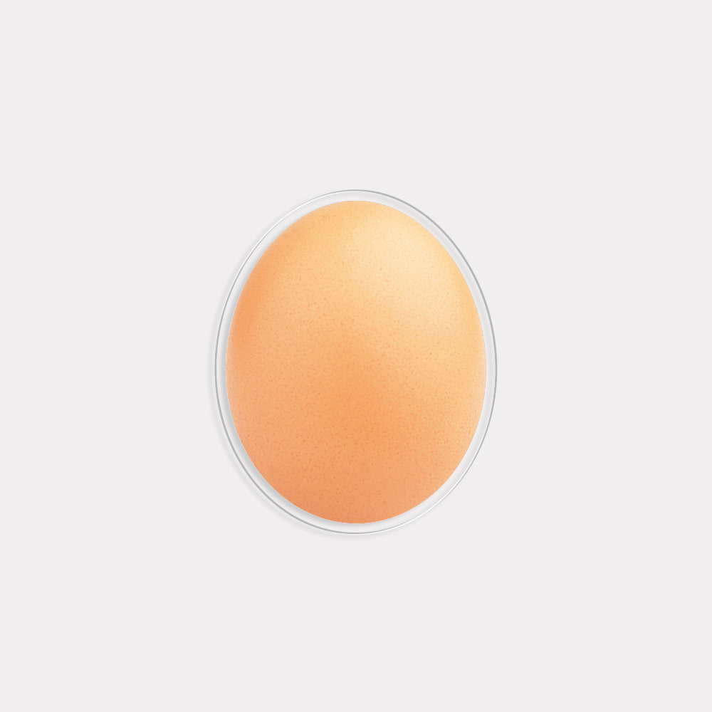 egg 디자인 [아크릴스마트톡]
